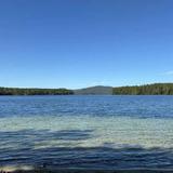 Chamberlain Reynolds Memorial Forest