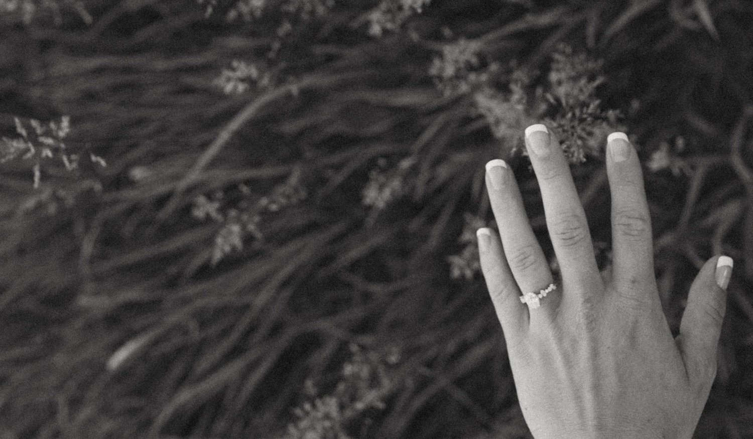 The Wedding Website of Allison Walania and Jack Funk