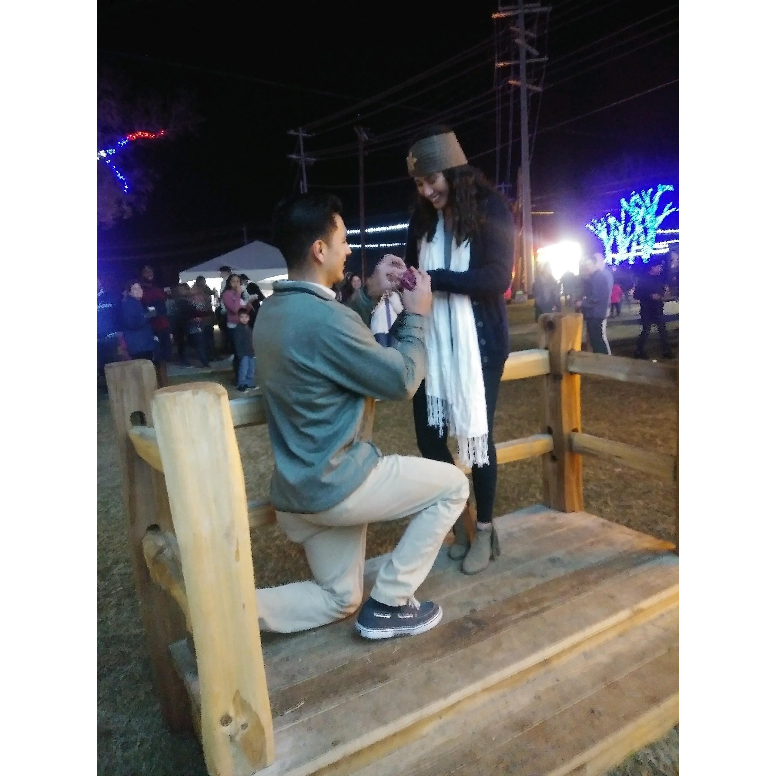 The day I said YES!