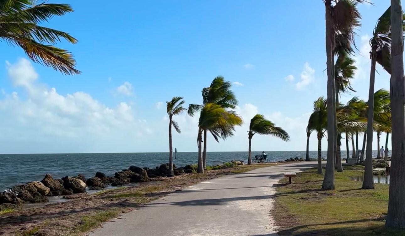 The Wedding Website of Crystal Pippin and Javier Paez