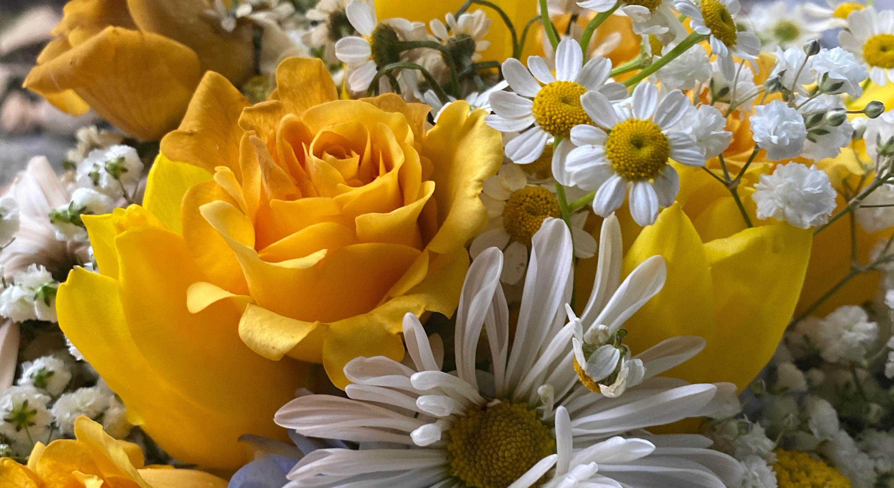 Footer image