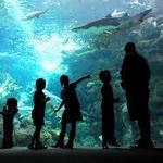 The Florida Aquarium