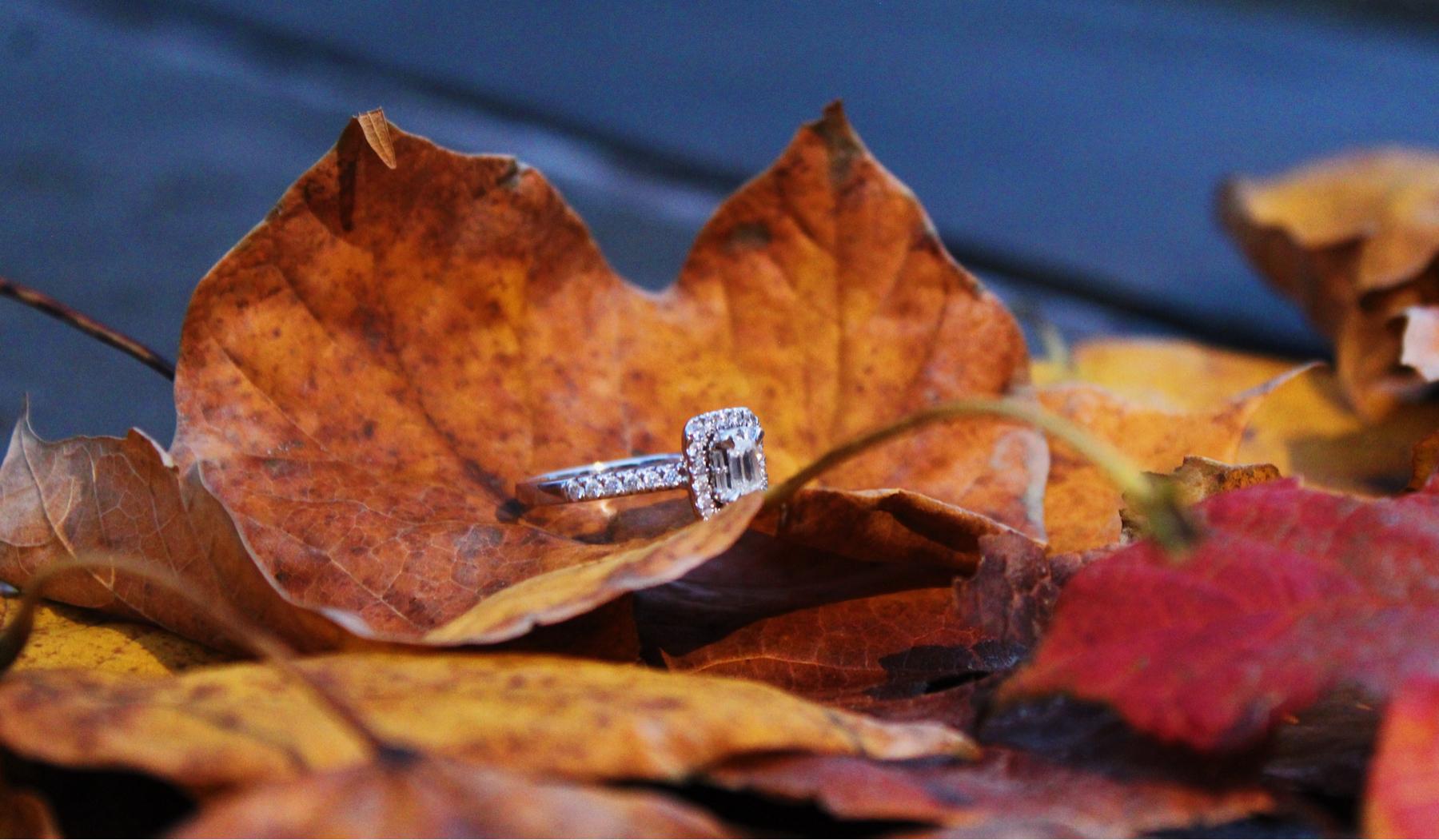 The Wedding Website of Kayla Taylor and Max Hively