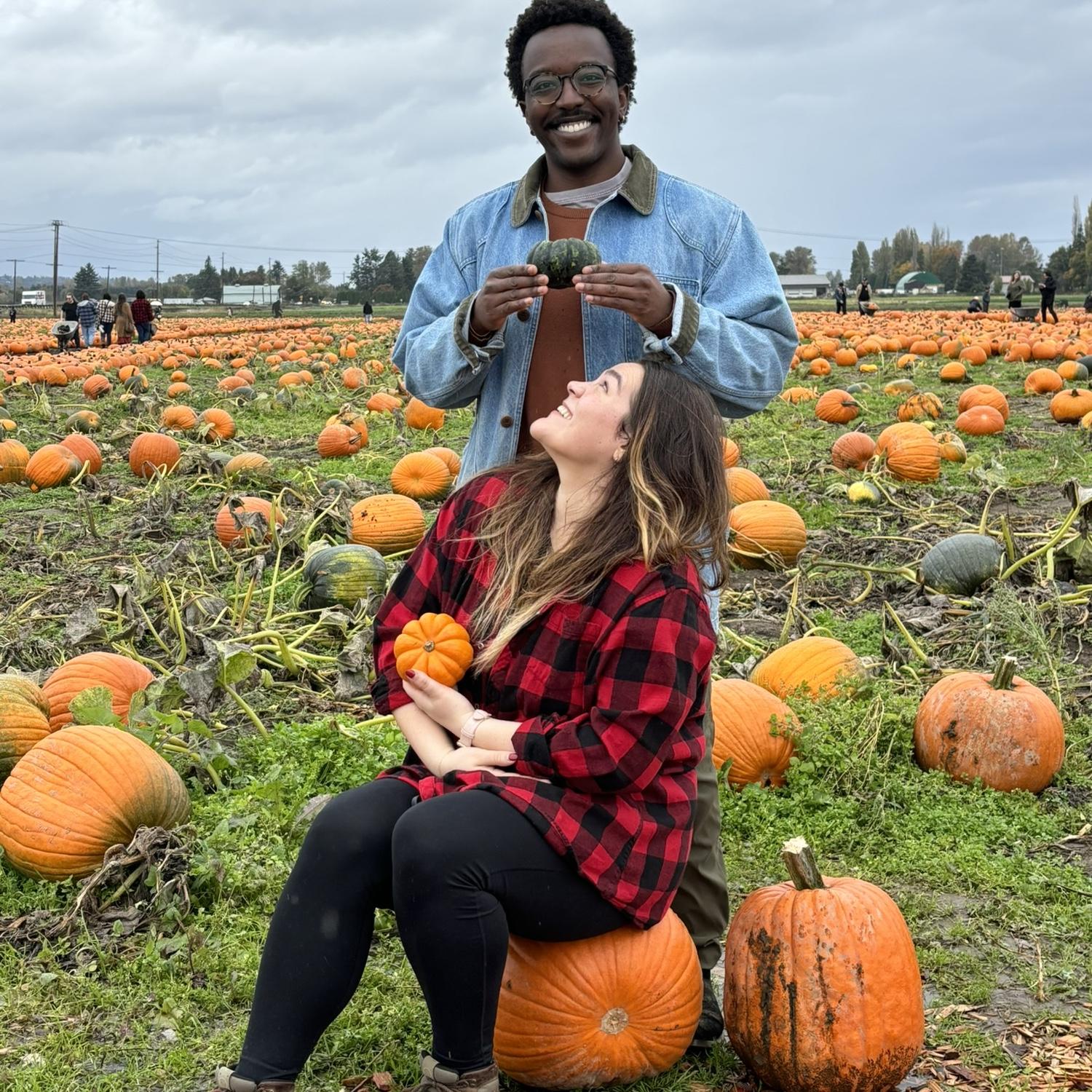 Pumpkin patch, Oct 2024