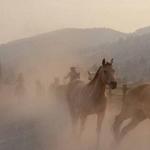 Sylvan Dale Guest Ranch
