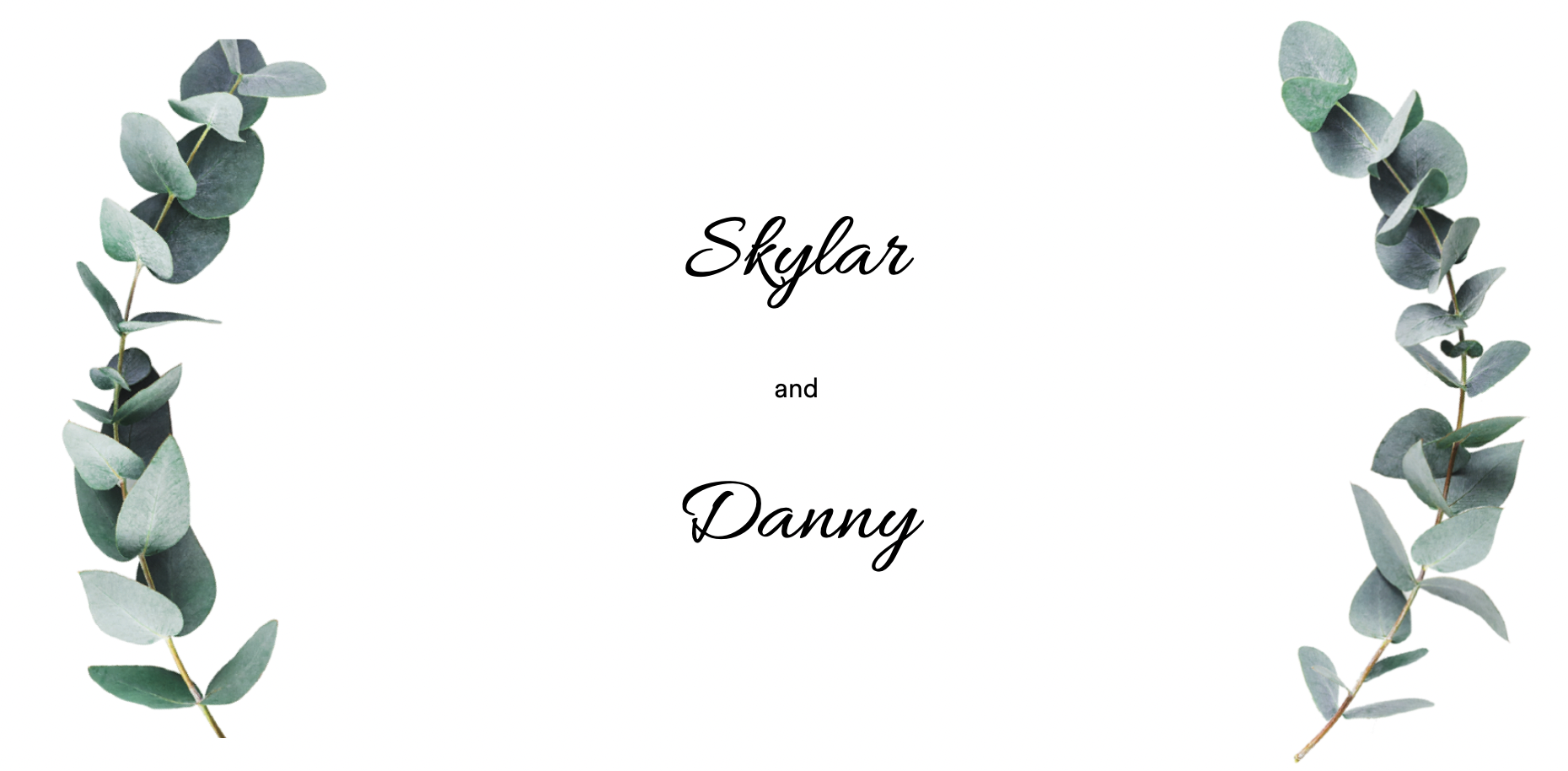 The Wedding Website of Skylar Zhu and Danny Byun