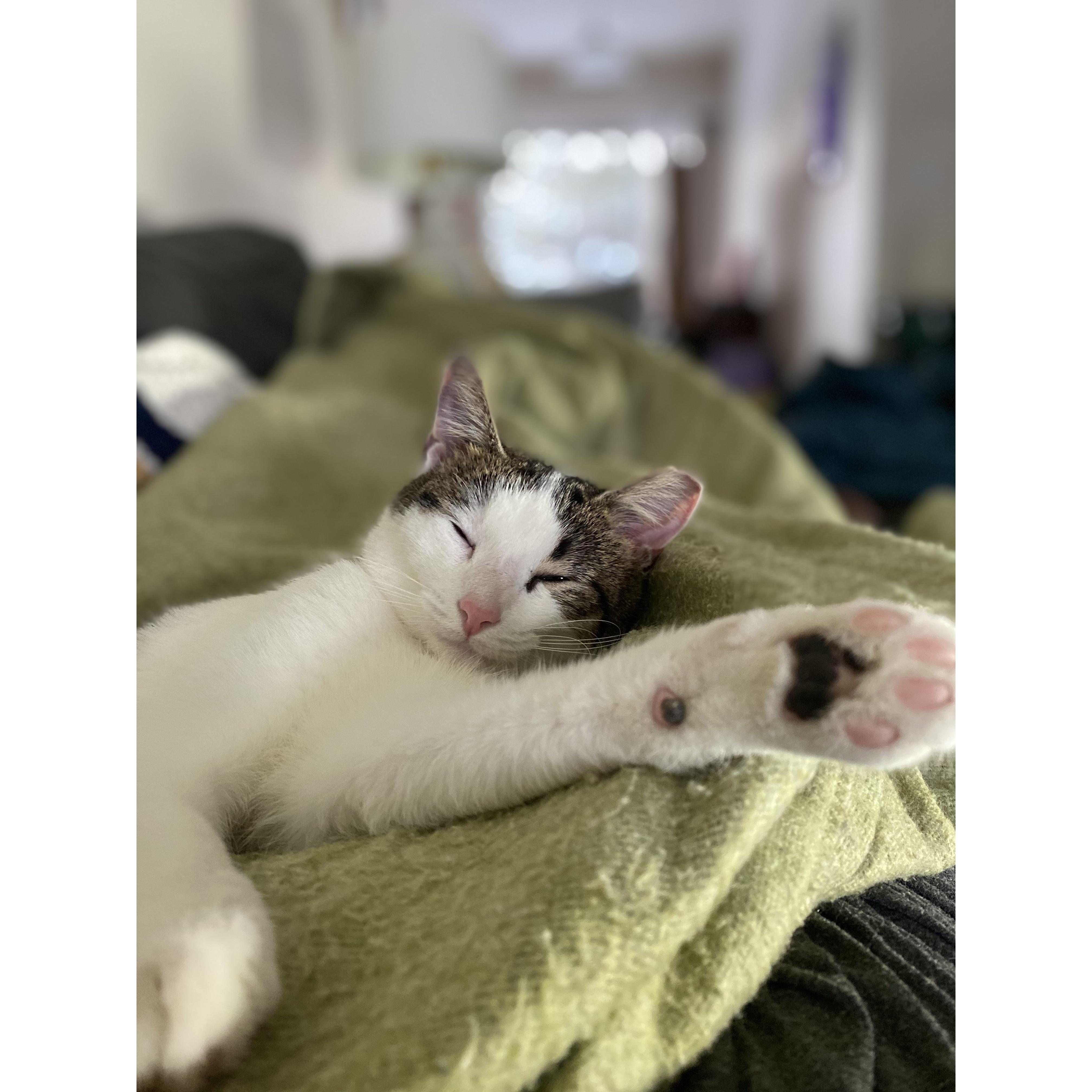 Welcome to the family Pearl Peach.
