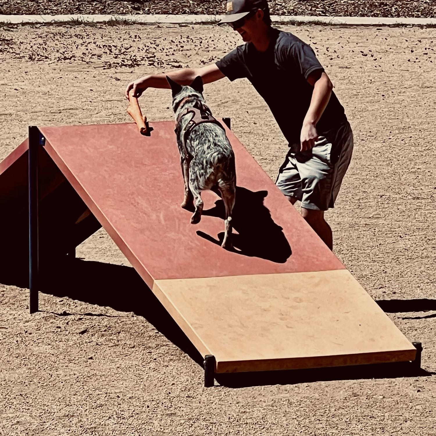 Reese first dog park day