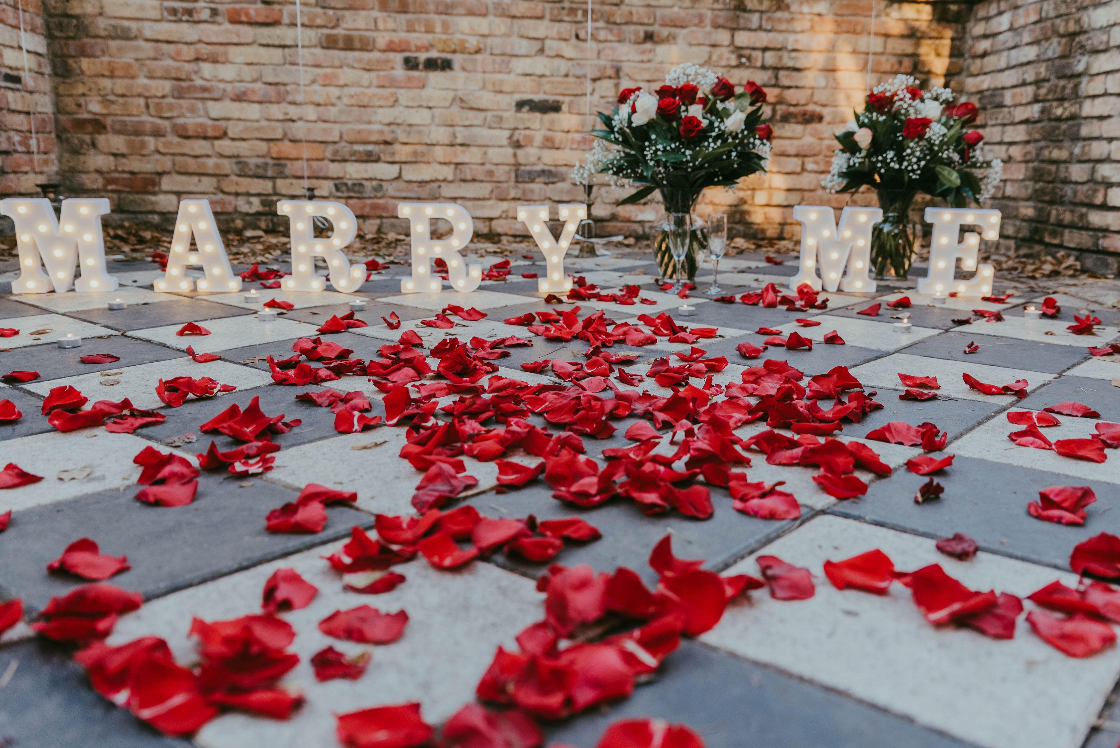 The Wedding Website of Jessica Carlo and Chris Dvorak