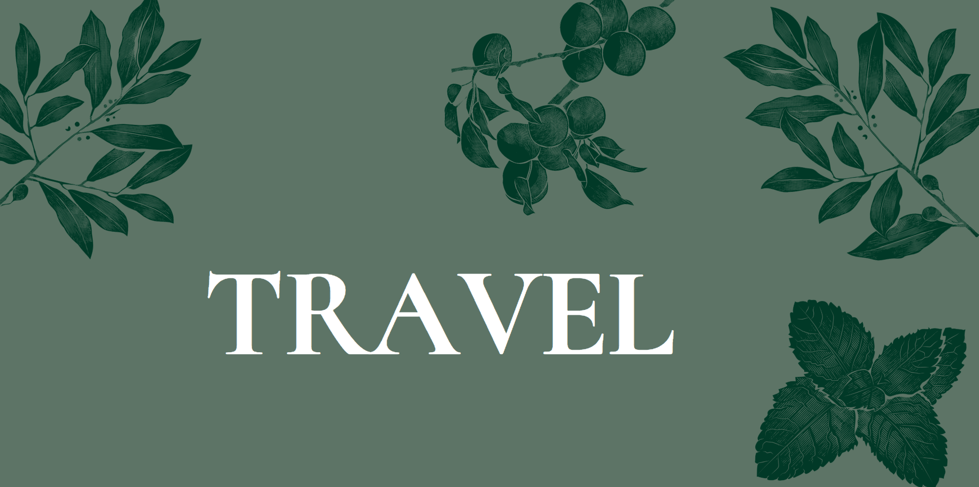 The Wedding Website of Kevin Gough and Olivia Antosz