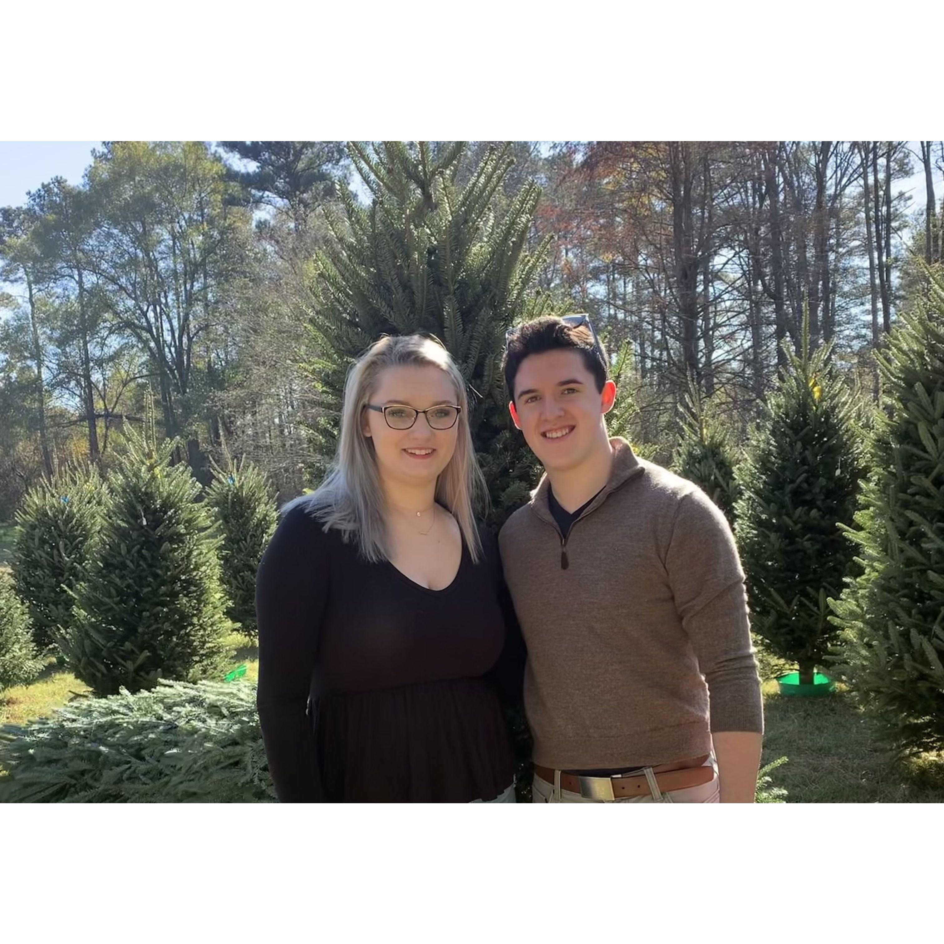 Our first time picking out a christmas tree down south in 2020