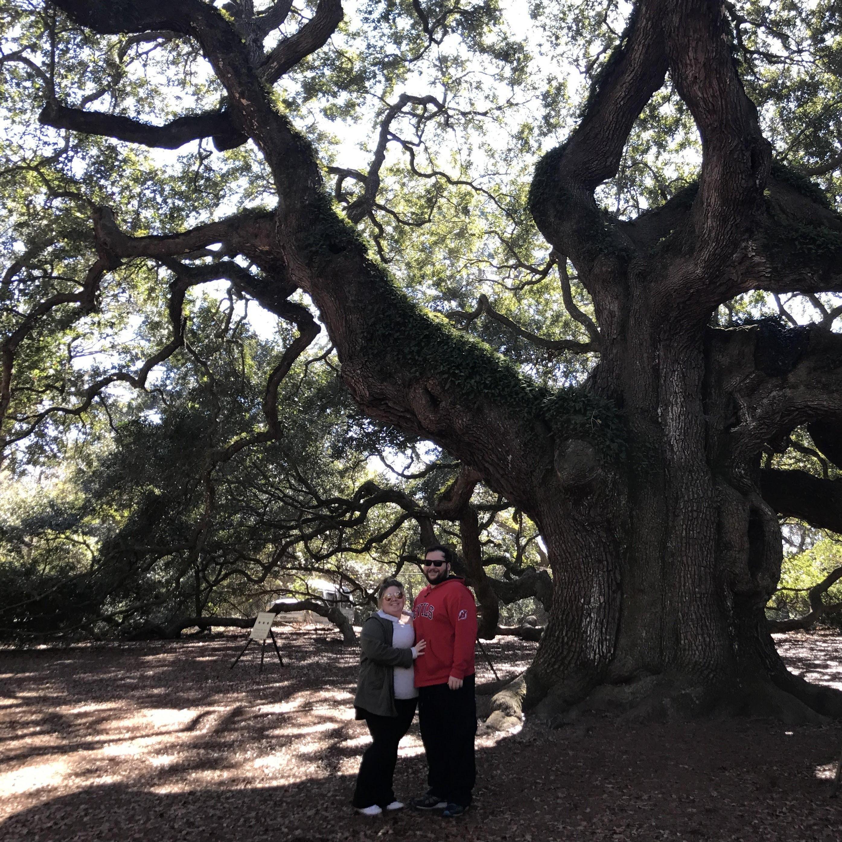 Angel Oak in South Carolina.