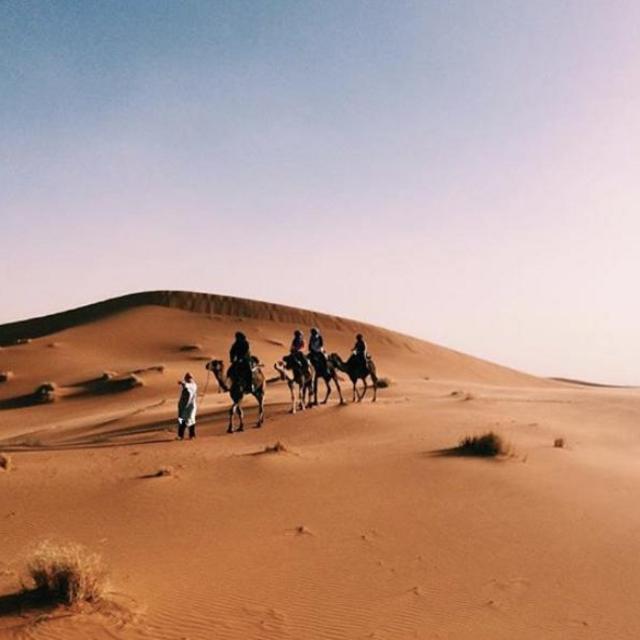 Sahara Desert Camping