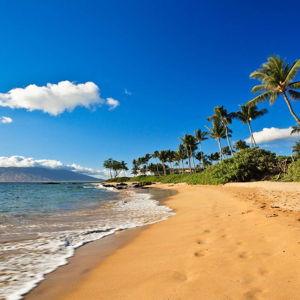 Hawaii Honeymoon Fund!!