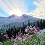 Kokanee Glacier Provincial Park