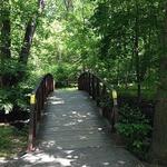 Falling Waters Trail