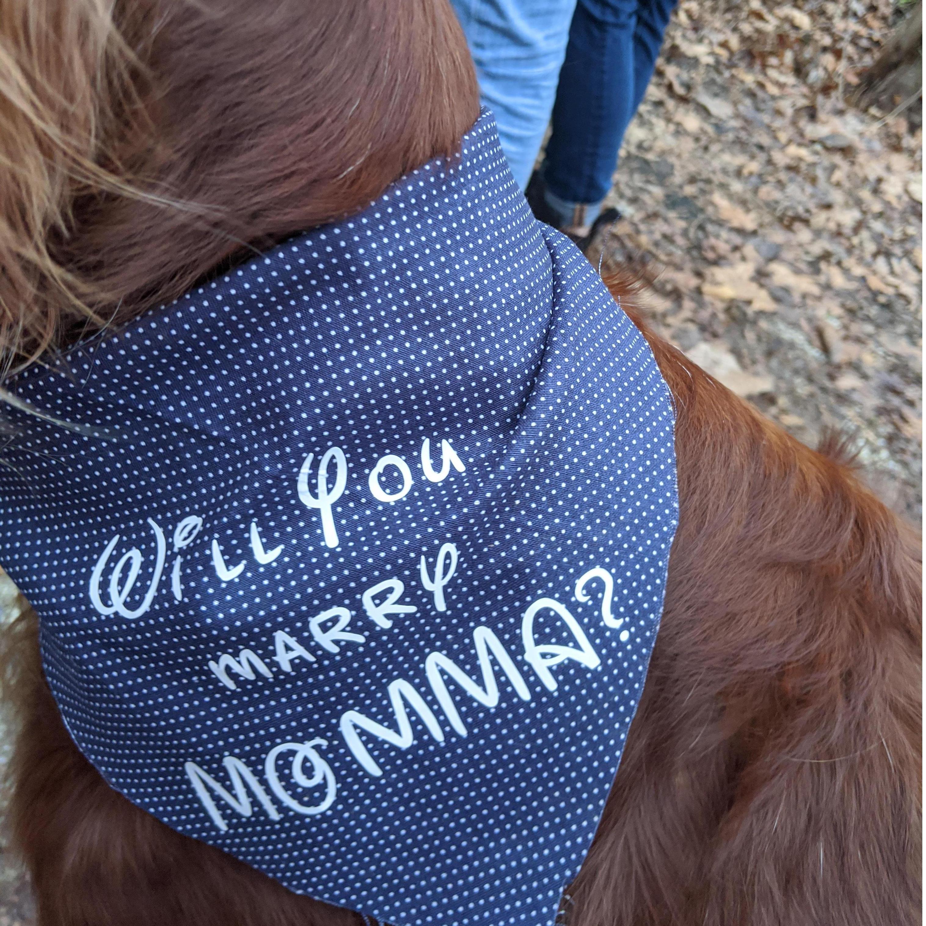 Molly is a big part of our lives and had to be apart of our engagement!