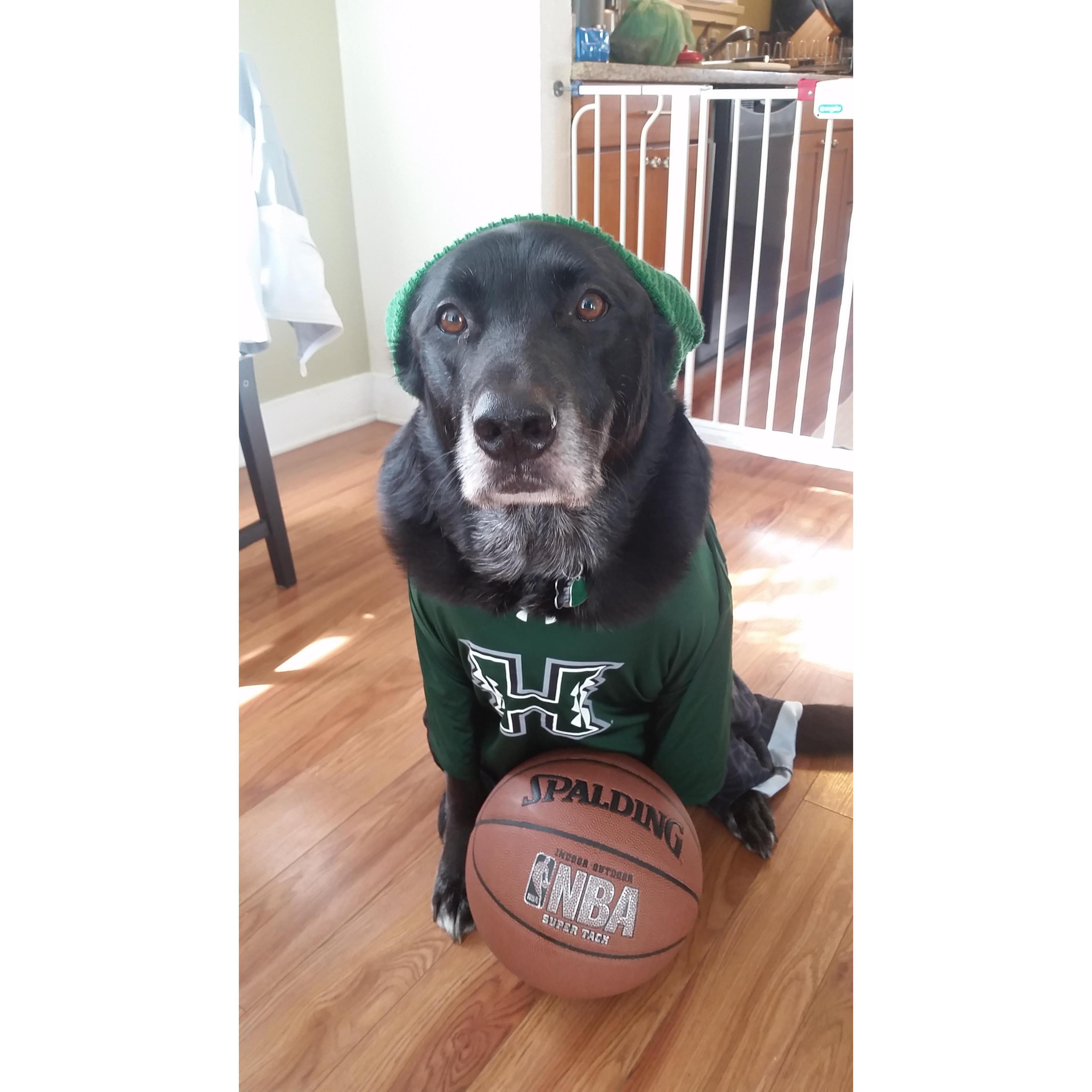 Stewie says "Go Bows!"