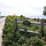 Parsons Beach Road