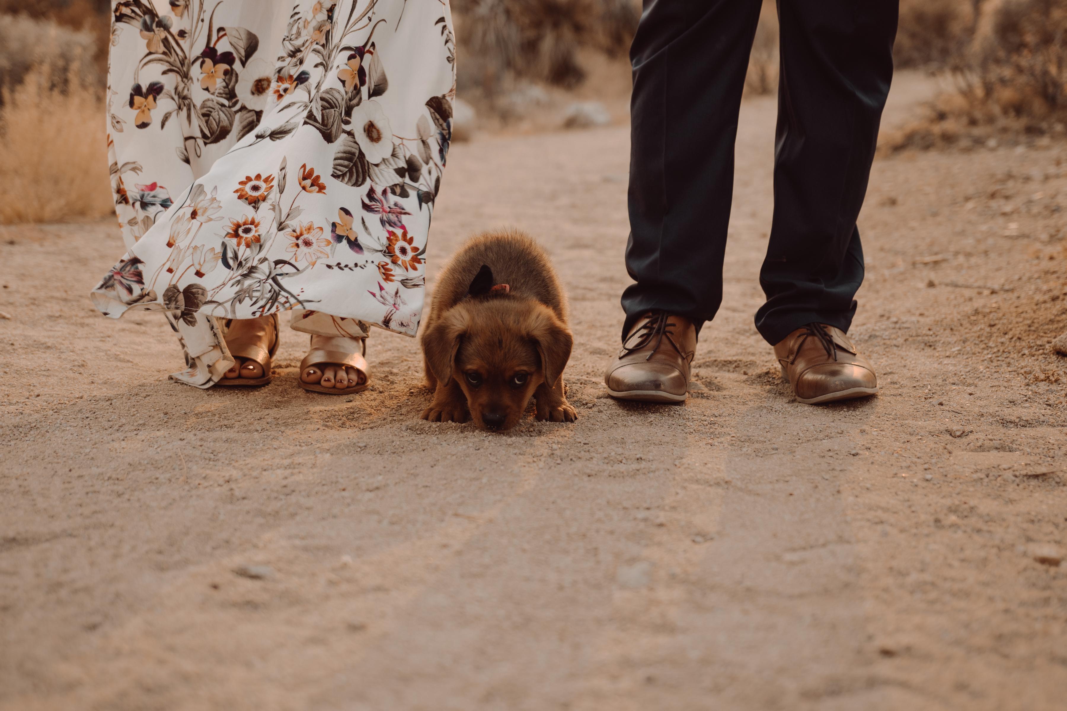 The Wedding Website of Patricia Julia Reyes and Jonathan Steven Quintanilla