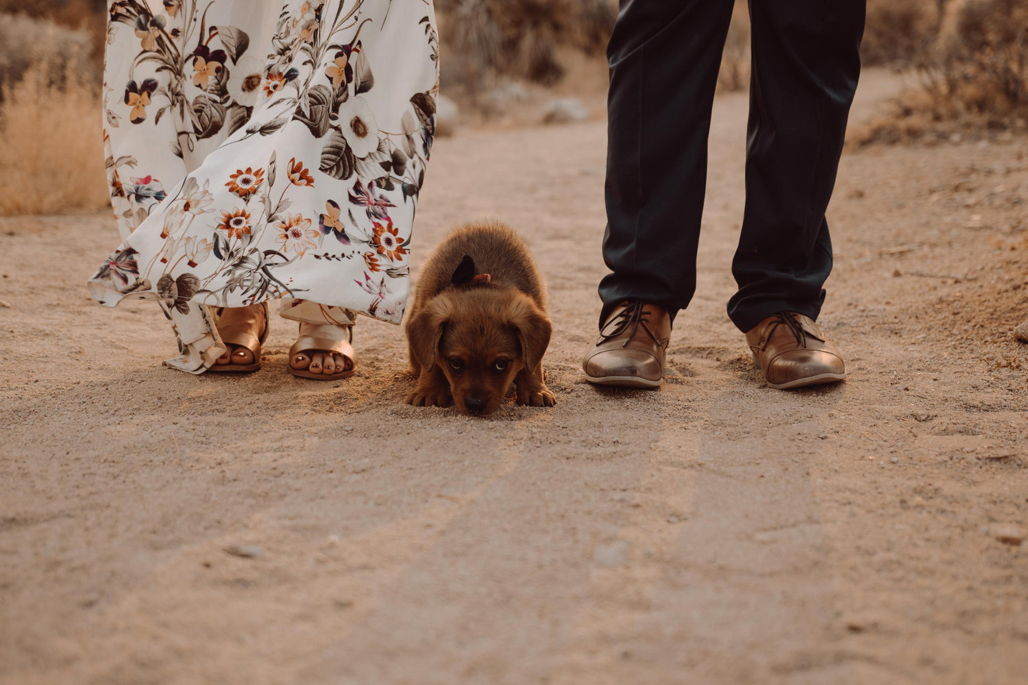 The Wedding Website of Patricia Julia Reyes and Jonathan Steven Quintanilla