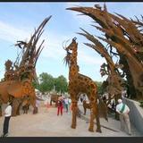 Saint Louis Zoo