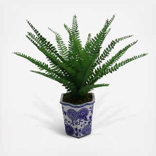 Artificial Fern
