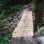 Hit some trails