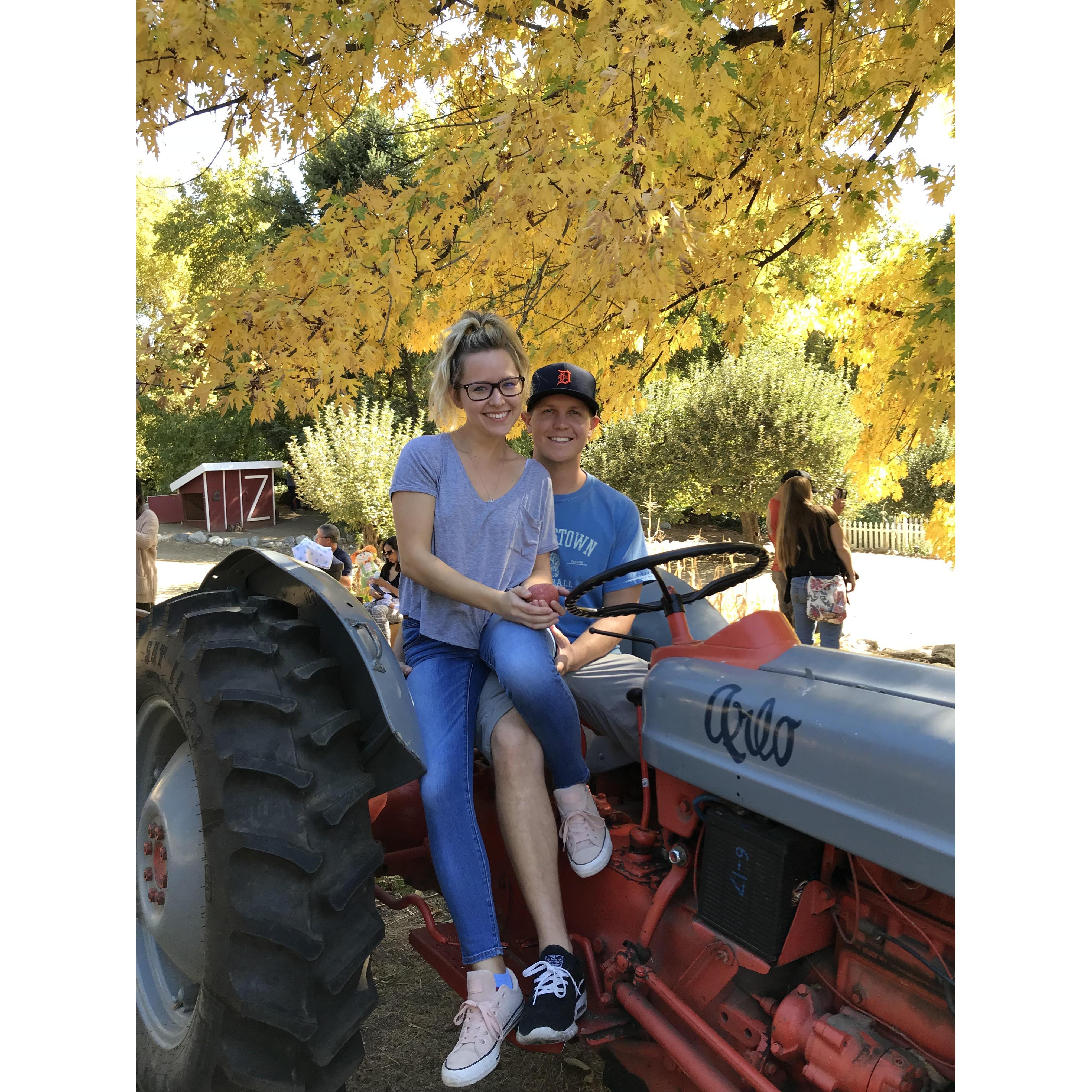 Apple picking
