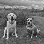 Maidstone State Park