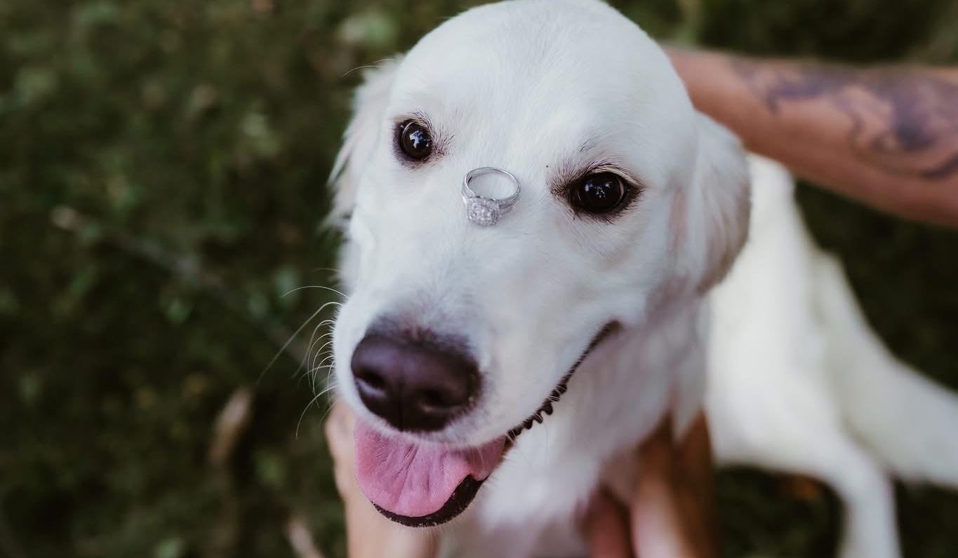 The Wedding Website of Sydney Theobald and Tyler Schneider