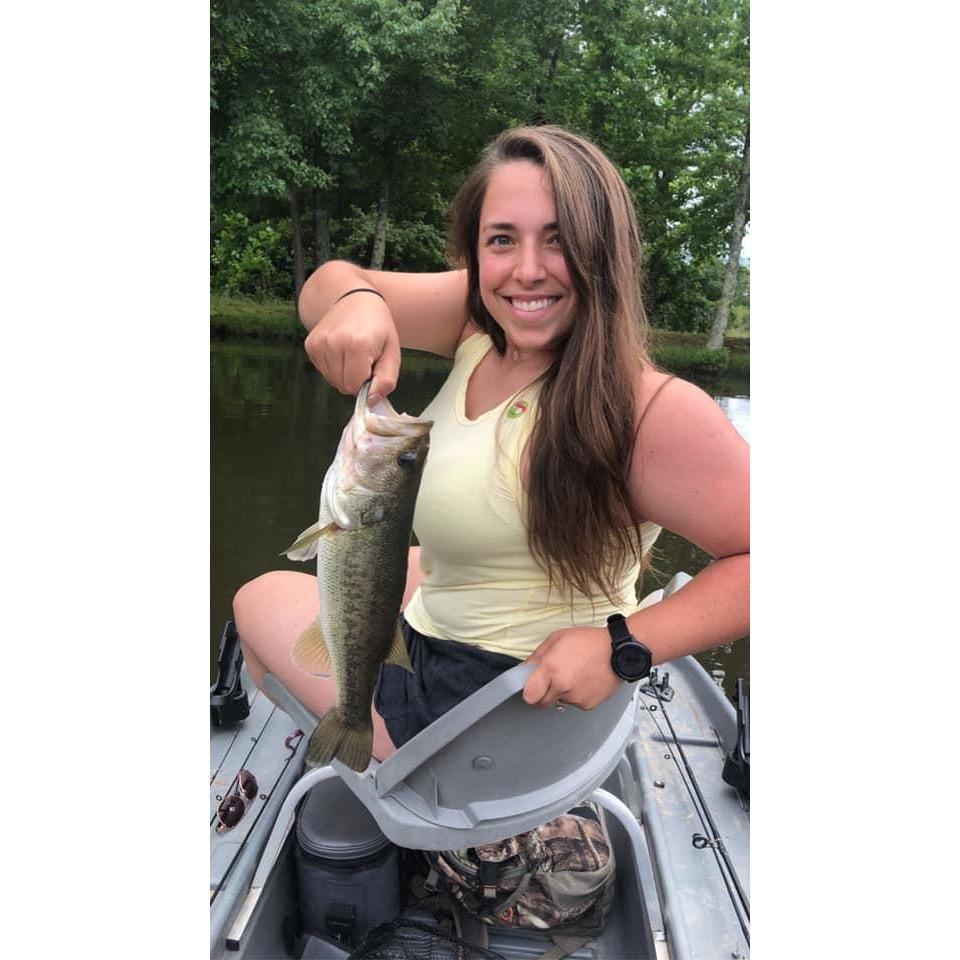 More Fish!