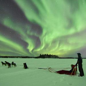 Dog Sledding Experience in Enontekiö, Finland