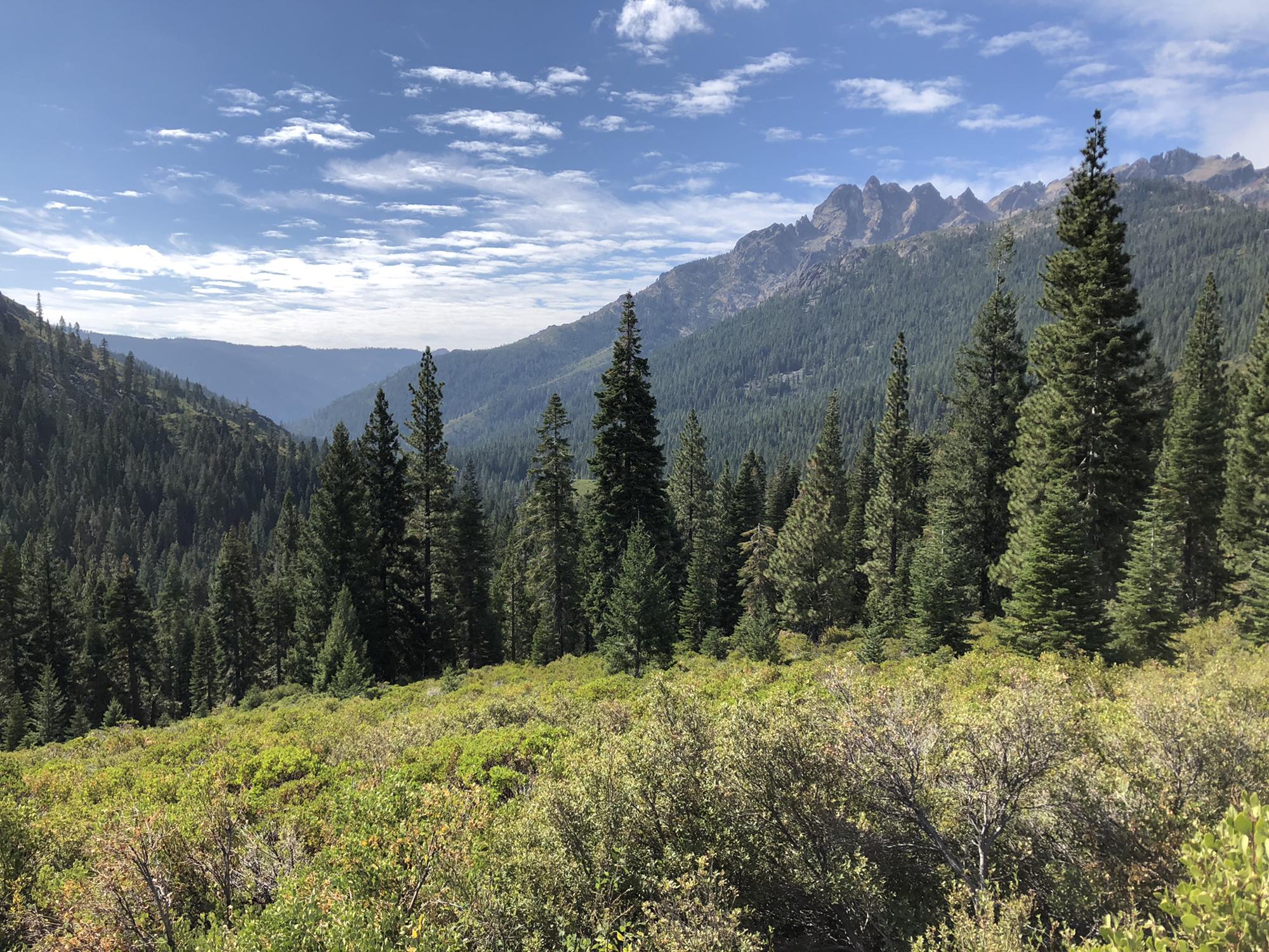 Northern California hiking
