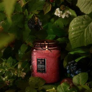 Foraged Wildberry - Large Jar Candle