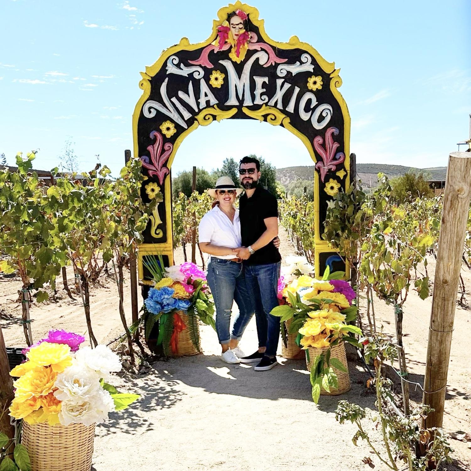 Amamos la Baja, Amamos Mexico