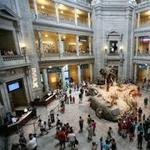 Smithsonian Museum of Natural History