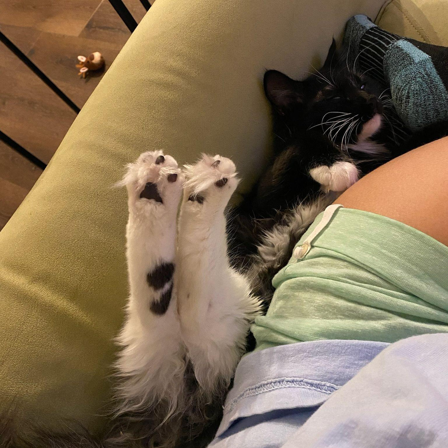 I mean, how could you ever say no to her?