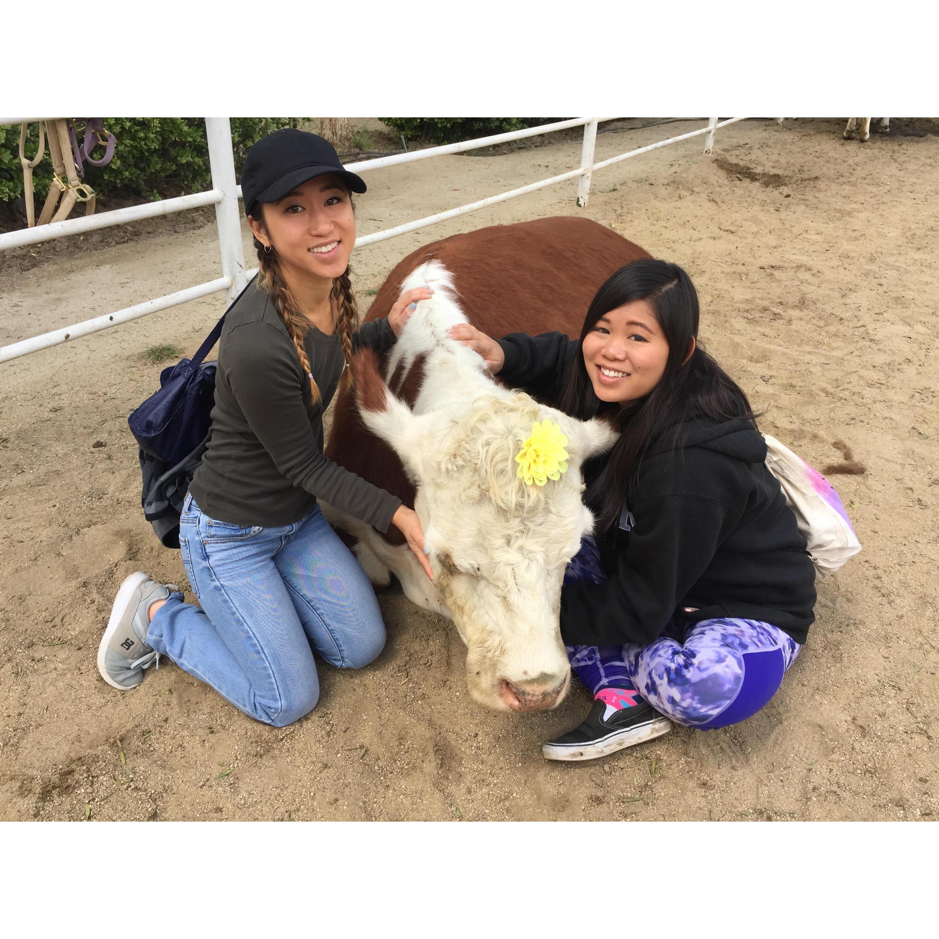 Melia (sister of Kalia) and Kalia hugging Aretha the rescue cow from the Gentle Barn