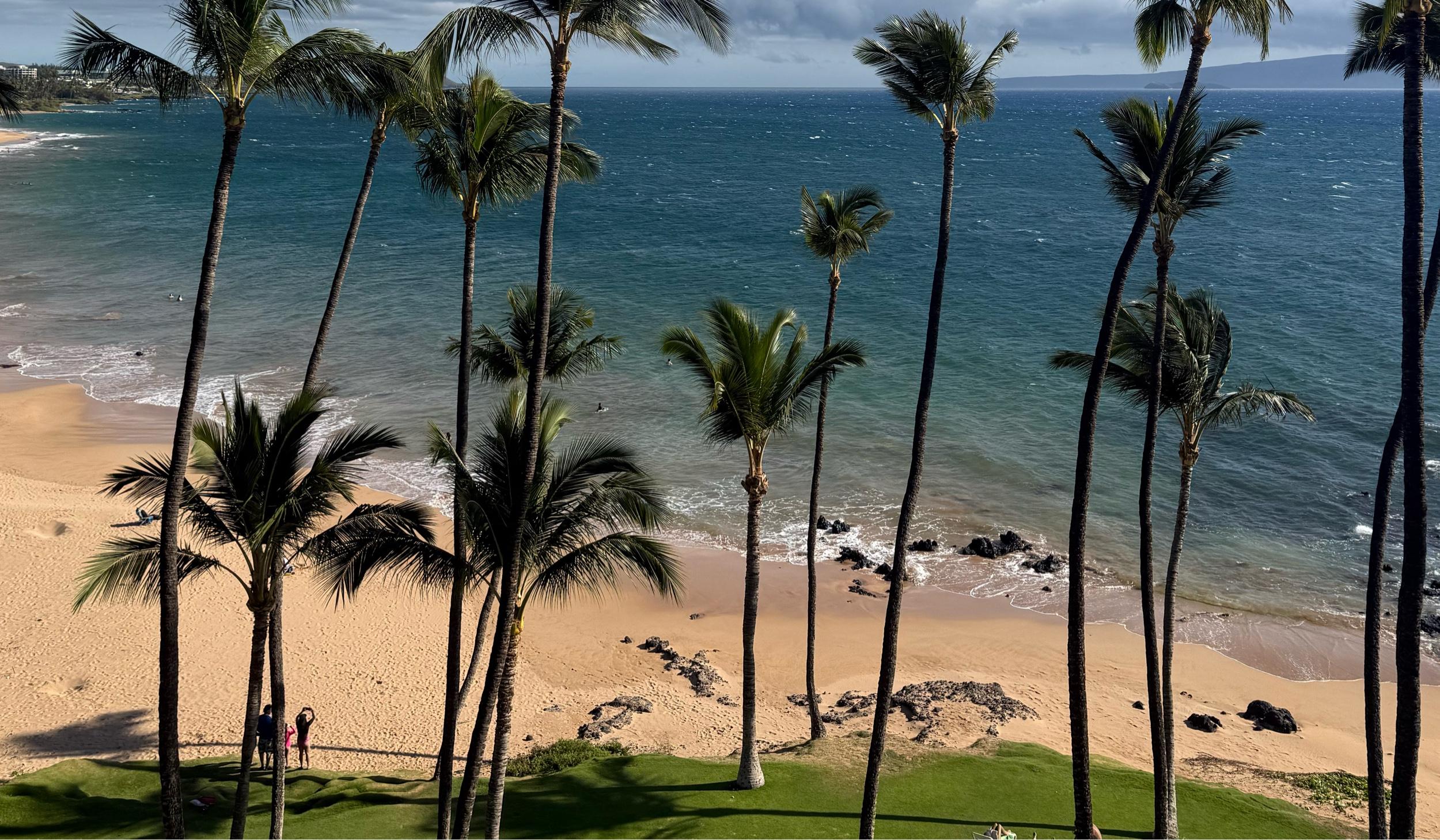 The Wedding Website of Heaven Brighton and David Snell