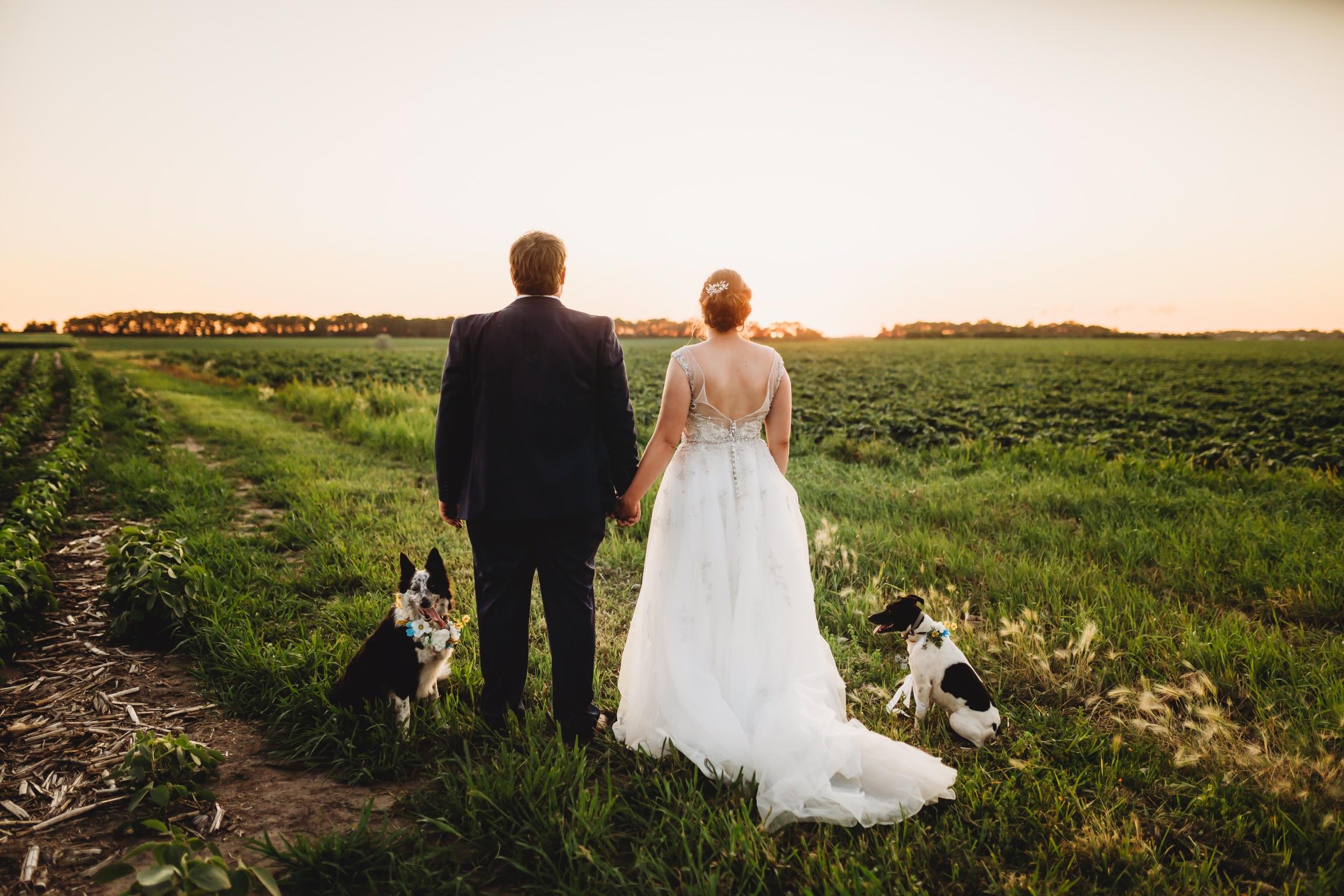 The Wedding Website of Samantha Bergjord and Luke Bergjord