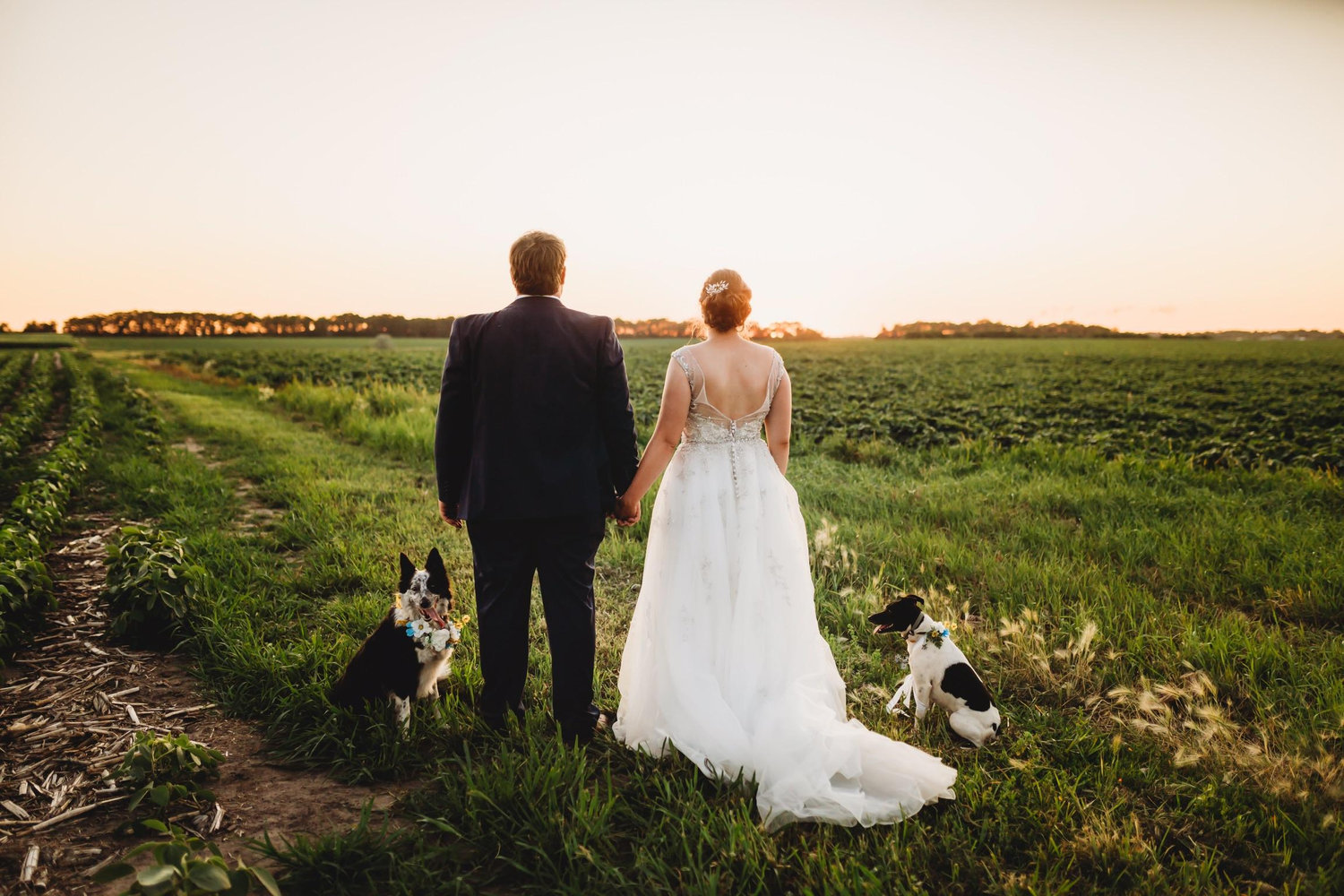 The Wedding Website of Samantha Bergjord and Luke Bergjord