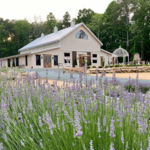 Lavender Oaks Farm