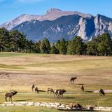 Countryside - Estes Park