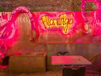 Flamingo A-Go-Go