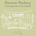 Lots to do in Roxbury
