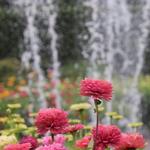 The Oregon Garden