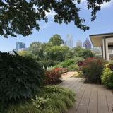 Atlanta Botanical Garden
