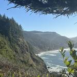 Cape Lookout State Park Campground