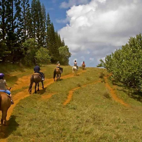 Horseback Riding On Our Honeymoon